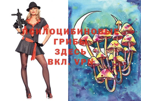 мдпв Арсеньев